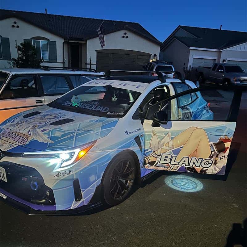 Custom car door lights