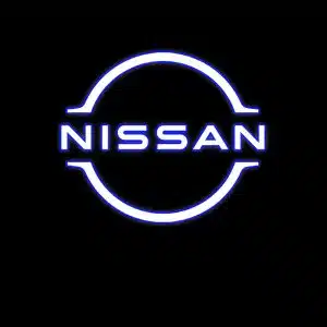 Nissan Door Lights